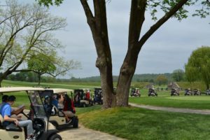 golf carts web 1000