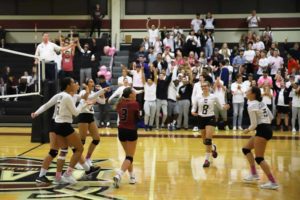 Players and fans celebrate a won point