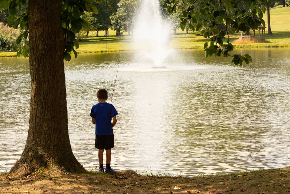 Child fishing by pond