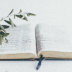 open bible on white background with a branch hanging over the left page