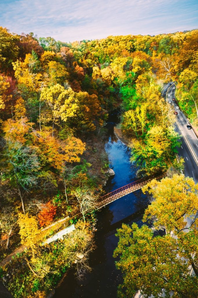 aerial photography of brown metal bridge surrounded with trees while cars on road