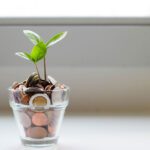 image of a glass jar full of coins with a plant growing out of it