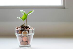 image of a glass jar full of coins with a plant growing out of it